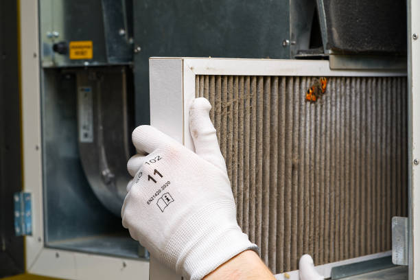 Best Ductwork Cleaning Services  in Delft Colony, CA